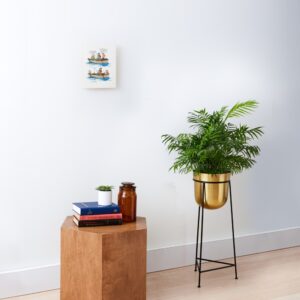 Mounted Print
